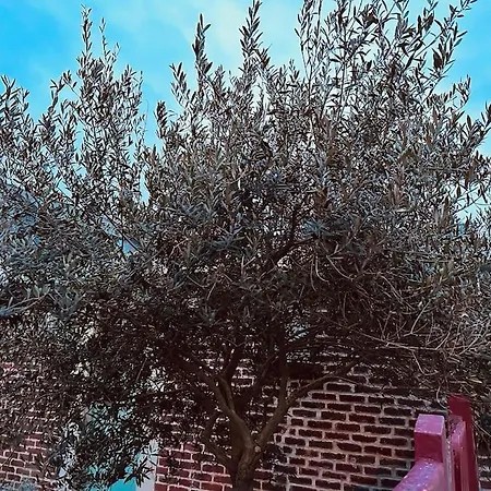 Апартаменты Eden Maison De Pecheur Traditionnelle Avec Jardin Кайё-сюр-Мер